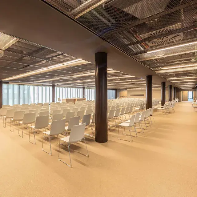 Faux plafond de la Salle des congrès